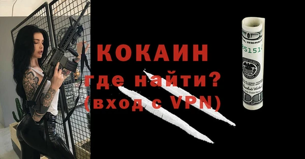 соль ск Абаза