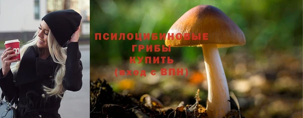 соль ск Абдулино